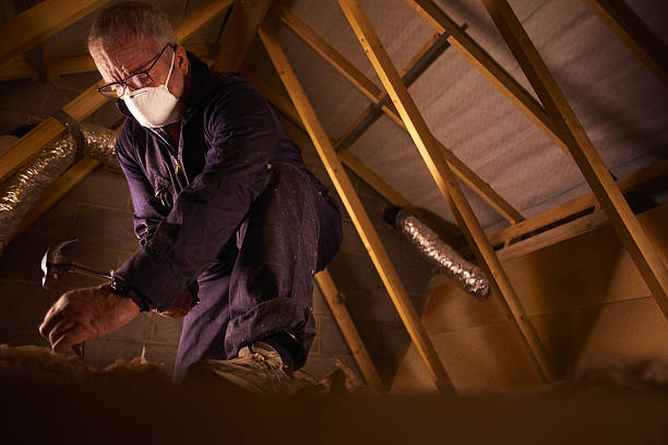 Professional Insulation Contractor in Seven Corners, VA